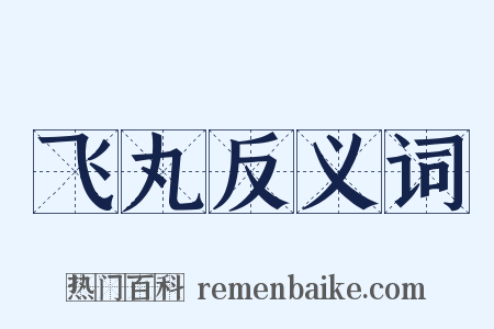 飞丸反义词是什么意思的图片